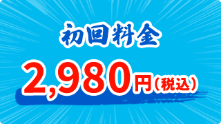 初回料金2,980円